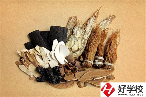 在湘西學(xué)中草藥栽培怎么樣？開設(shè)此專業(yè)的學(xué)校有哪些？