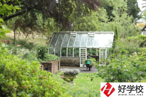 湖南省商業(yè)技師學(xué)院開設(shè)哪些專業(yè)？就業(yè)情況如何？