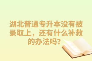 湖北普通專升本沒有被錄取上，還有什么補救的辦法嗎？