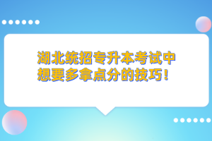 湖北統(tǒng)招專升本的學(xué)歷和本科學(xué)歷考公務(wù)員一樣嗎？