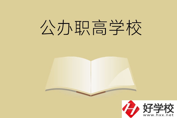 懷化公辦的職高學(xué)校有哪些？