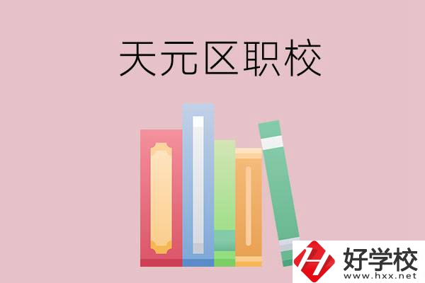 株洲市天元區(qū)的職校有哪幾所？