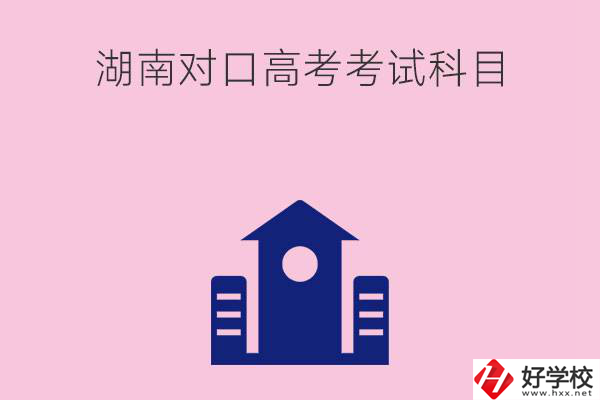 湖南中職生對(duì)口高考考試科目都有哪些？考試難不難？
