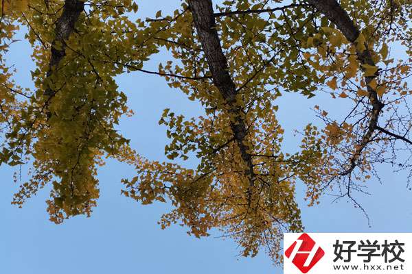 株洲有哪些比較好的中專學(xué)校？