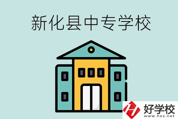 婁底市新化縣有哪些中專學校？是公辦還是民辦？