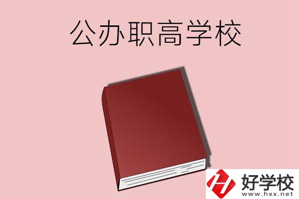 湖南有什么公辦的職高學(xué)校？