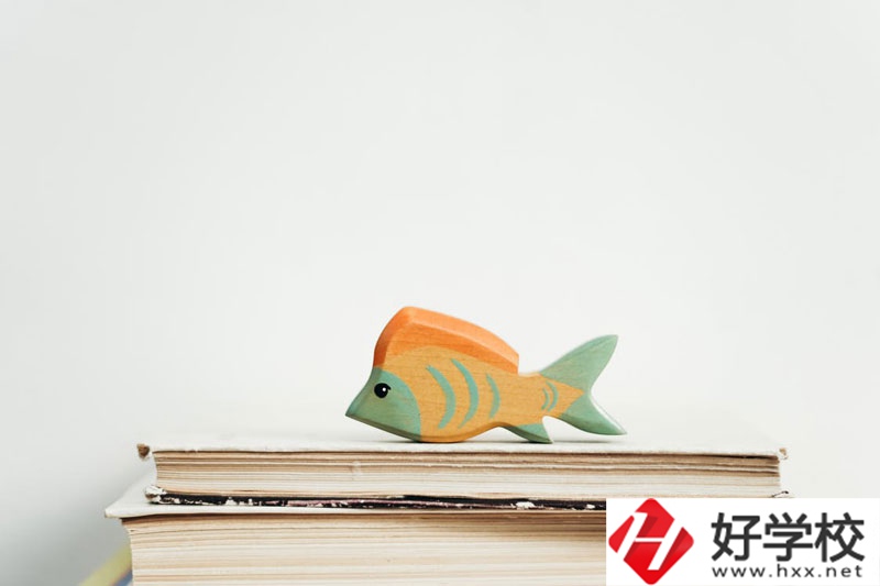 長(zhǎng)沙市英藍(lán)中等職業(yè)學(xué)校學(xué)費(fèi)多少？貴不貴？