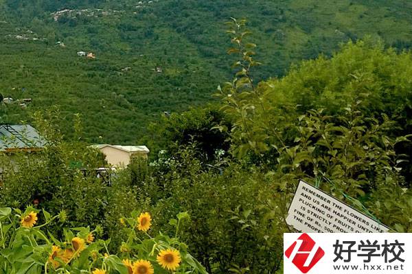 長沙公辦中職學(xué)校好不好？都有哪些學(xué)校？