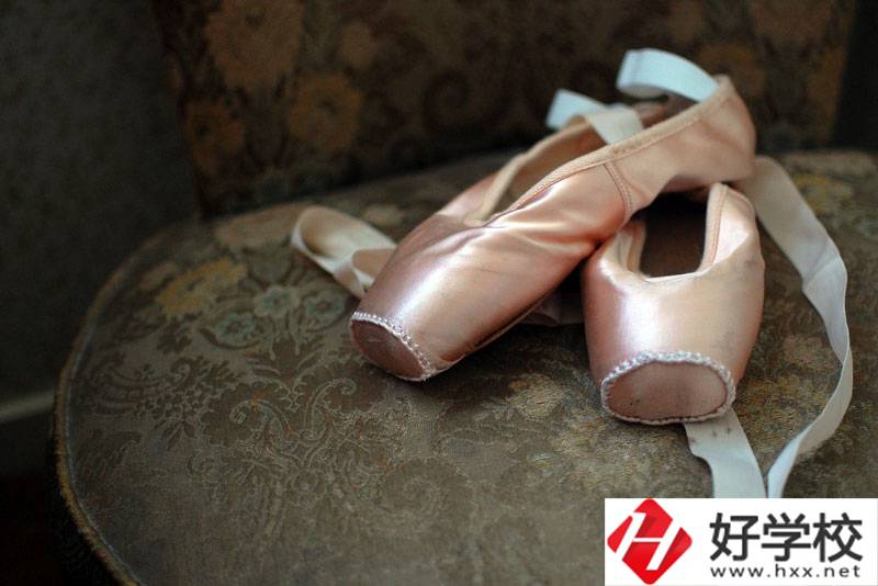 湖南省體育運(yùn)動(dòng)學(xué)校有舞蹈表演專(zhuān)業(yè)嗎？