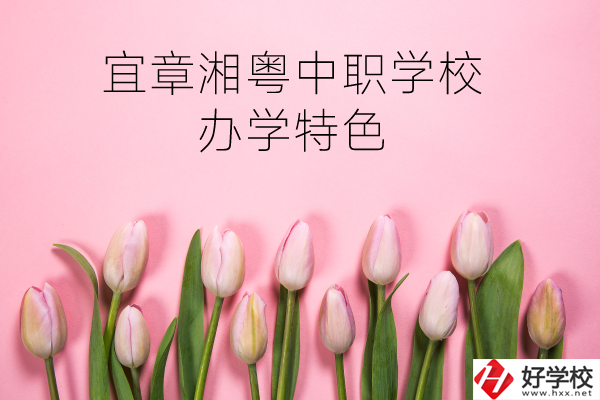 宜章湘粵中職學(xué)校在哪？有什么辦學(xué)特色？