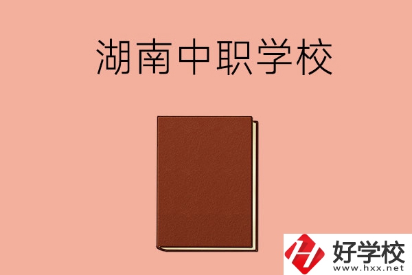 湖南有哪些就業(yè)率比較高的中職學(xué)校？