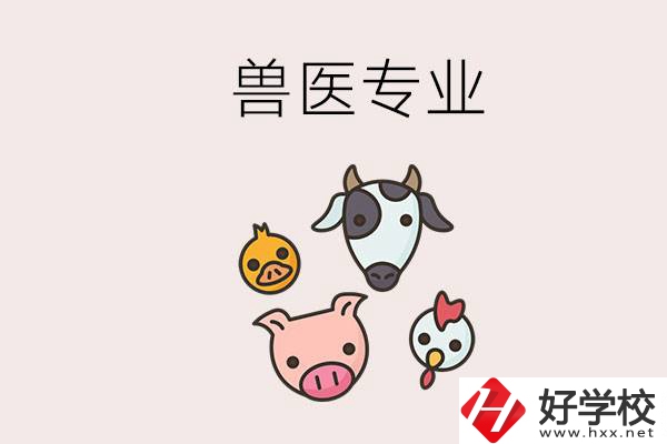 湖南哪些職校能學(xué)獸醫(yī)專業(yè)？學(xué)獸醫(yī)前景怎么樣？