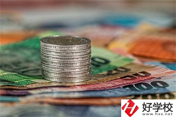 湖南職校會計電算化專業(yè)怎么樣？就業(yè)前景好不好？