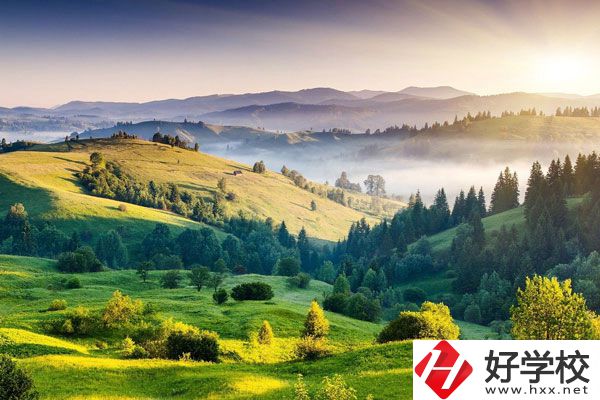 衡陽(yáng)的中專學(xué)校有哪些新開(kāi)設(shè)的專業(yè)？