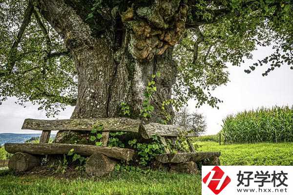 湖南特教中等專業(yè)學(xué)校有專業(yè)、資助政策。