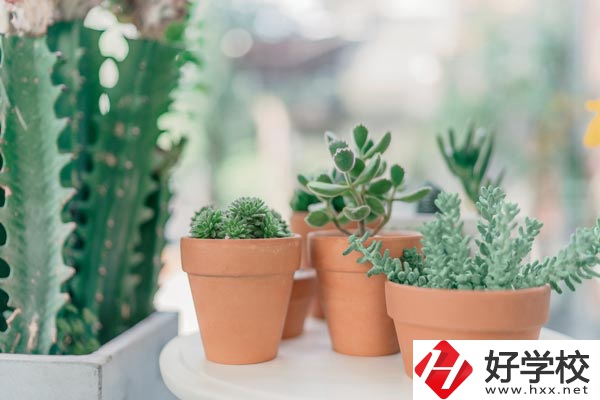 瀏陽市三聯(lián)工業(yè)學校辦學條件怎么樣？