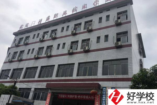 武岡市精益職業(yè)技術(shù)學校的學校特色有哪些？