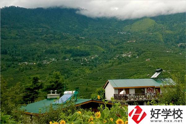 益陽大誠職業(yè)學(xué)校的專業(yè)怎么樣？就業(yè)方向如何？