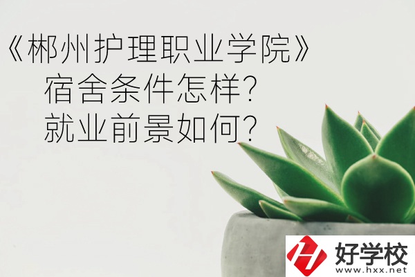 郴州護(hù)理職業(yè)學(xué)院宿舍條件怎樣？就業(yè)前景如何？