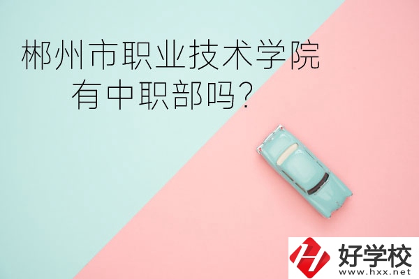 郴州市職業(yè)技術(shù)學(xué)院有中職部嗎？