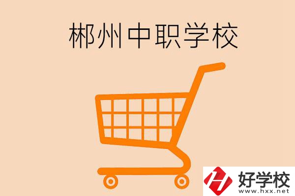 郴州哪些中職學(xué)校開設(shè)了電子商務(wù)專業(yè)？