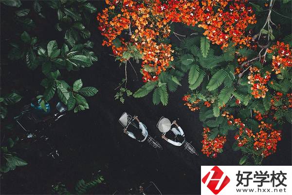 湖南分?jǐn)?shù)低選私立高中還是選職校？選職校還能統(tǒng)考嗎？