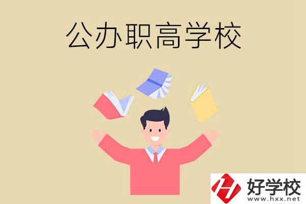 婁底公辦的職高學校有幾所？