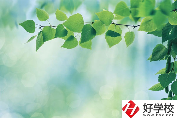 永州工商職業(yè)中等專業(yè)學校哪些是特色專業(yè)？好就業(yè)嗎？