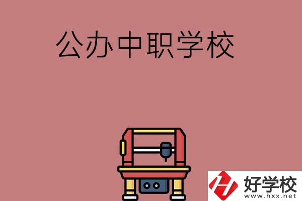 長(zhǎng)沙可以學(xué)計(jì)算機(jī)應(yīng)用專業(yè)的公辦中職學(xué)校有哪些？