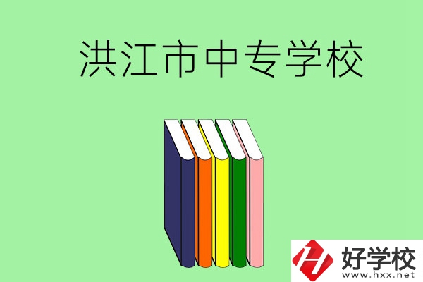 懷化洪江市有哪些職業(yè)中專學(xué)校？