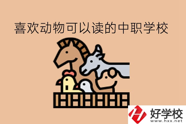 喜歡動物的學生，可以讀這些中職學校!