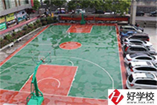 龍山縣技工學?；@球場