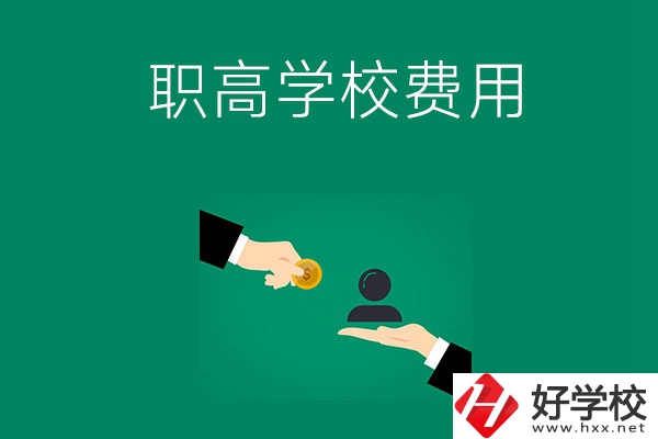 上懷化的公立職高學(xué)校要多少費(fèi)用？