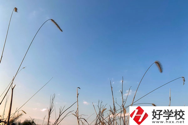 邵陽市護(hù)理職校是一所怎樣的學(xué)校？