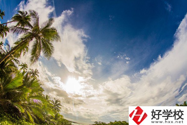 湖南兵器工業(yè)高級(jí)技工學(xué)校開(kāi)設(shè)了哪些專業(yè)？