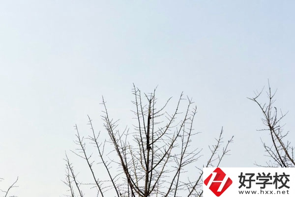 益陽第一職業(yè)中專學(xué)校怎么樣？值得報(bào)考嗎?