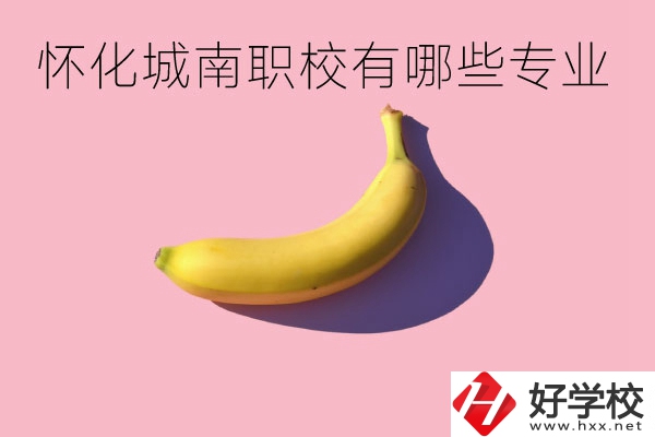 懷化城南職業(yè)學(xué)校有哪些專(zhuān)業(yè)？學(xué)校好不好？