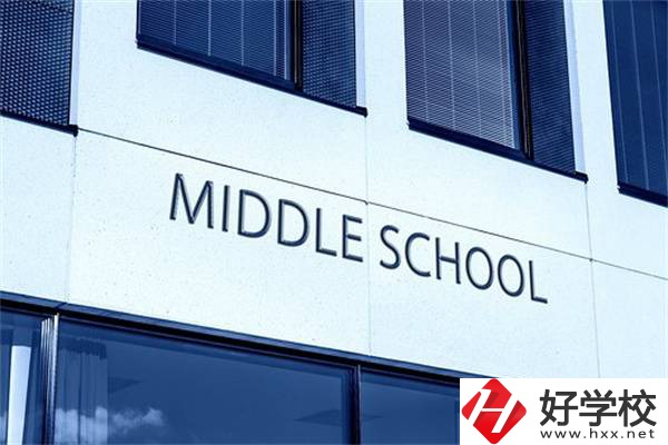 在湖南考不上高中又想繼續(xù)讀書怎么辦？有學校推薦嗎？