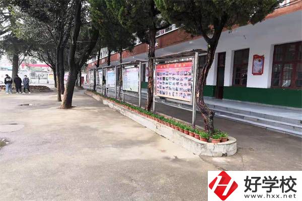 岳陽有沒有升學(xué)率高的民辦職高？職高能升學(xué)是真的嗎？