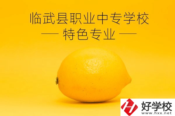 臨武縣職業(yè)中專學(xué)校好嗎？有哪些特色專業(yè)？