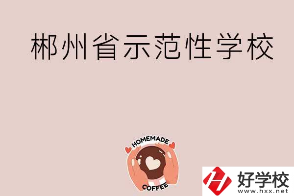 郴州有省示范性的公辦中職學(xué)校嗎？