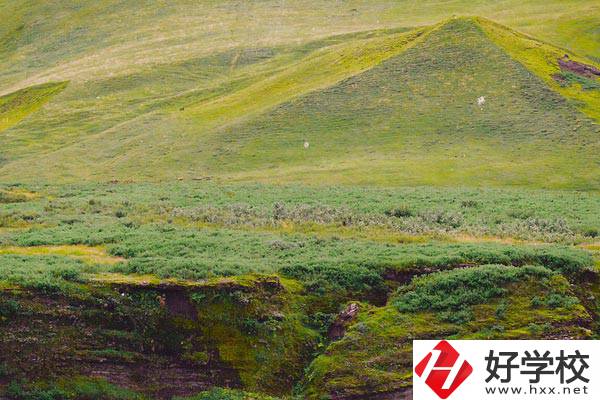 湖南衡南職業(yè)中等專業(yè)學(xué)校好嗎？學(xué)校有什么優(yōu)勢(shì)？