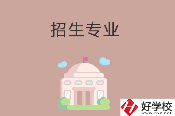 益陽(yáng)有哪些高職院校設(shè)立了中職部？招生專業(yè)有哪些？