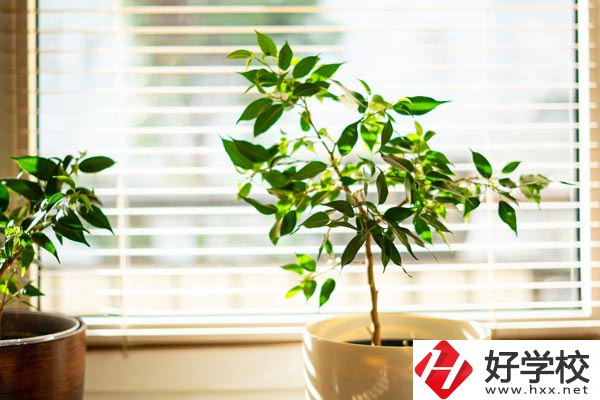 湖南省商業(yè)技師學院有哪些教學特色？報考有何要求？