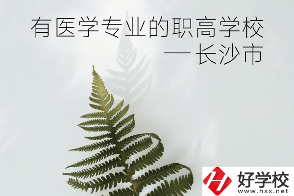 長沙市哪些職高學(xué)校有醫(yī)學(xué)專業(yè)？