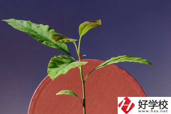 株洲市工業(yè)中等專校怎么樣？好不好？