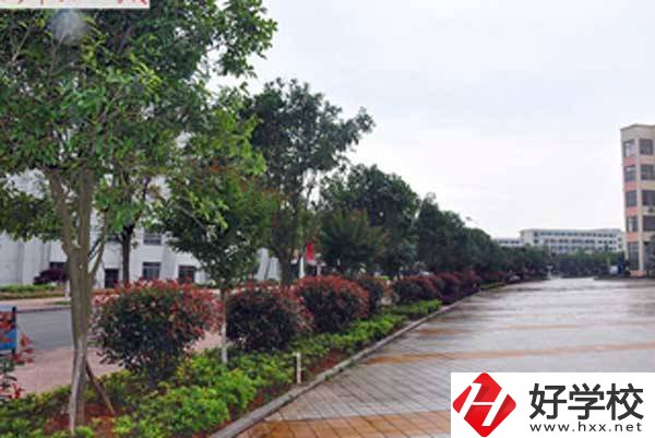 長沙市電子工業(yè)學校開設(shè)了哪些專業(yè)，附招生要求？