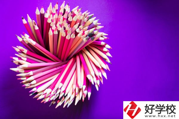 在懷化有什么職?？梢詫W(xué)習(xí)幼師？好不好？
