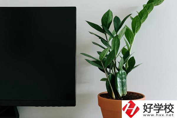 岳陽市網(wǎng)絡(luò)工程職業(yè)技術(shù)學(xué)校有哪些熱門專業(yè)？