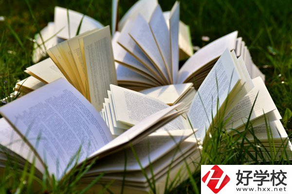 中方縣職業(yè)中等專業(yè)學(xué)校有什么專業(yè)？好不好？